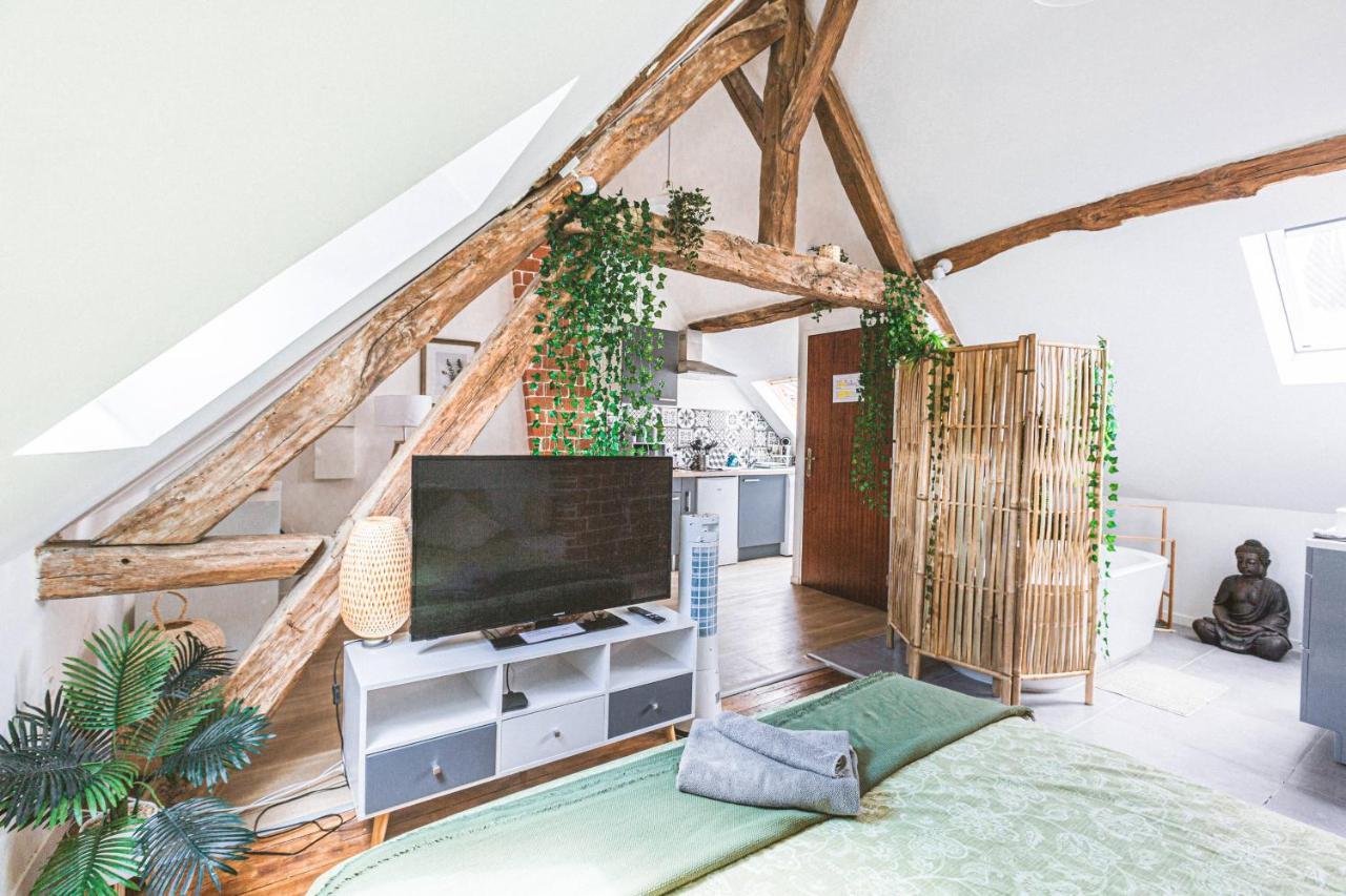 Au Zen Garden Appartement Auxerre Buitenkant foto