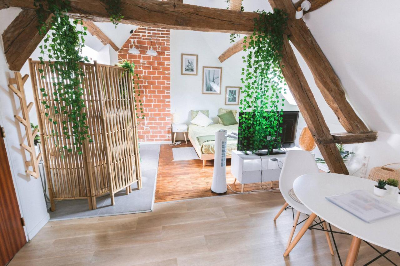 Au Zen Garden Appartement Auxerre Buitenkant foto